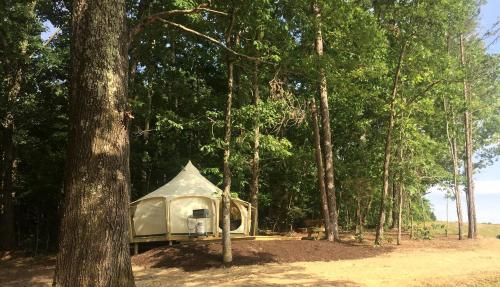 Fantastic Virginia Glamping Retreat near Charlottesville in Gordonsville (Virginia)