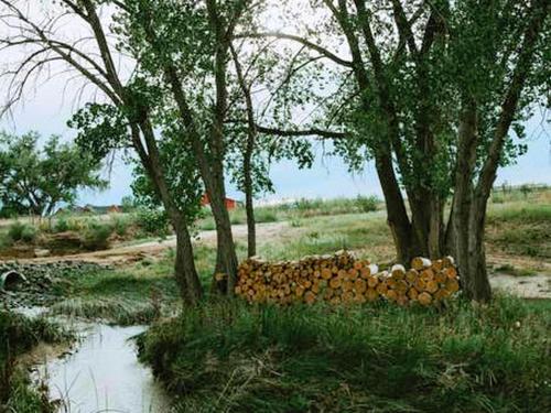 Cozy and Authentic Tipi Rental on Working Horse Ranch near Denver, Colorado in Hudson (CO)