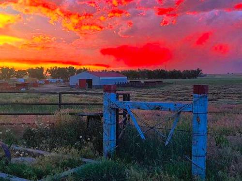 Cozy and Authentic Tipi Rental on Working Horse Ranch near Denver, Colorado in Hudson (CO)
