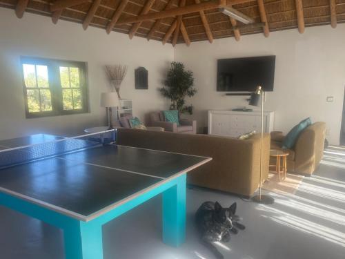 Beau's Cape Retreat - image 10