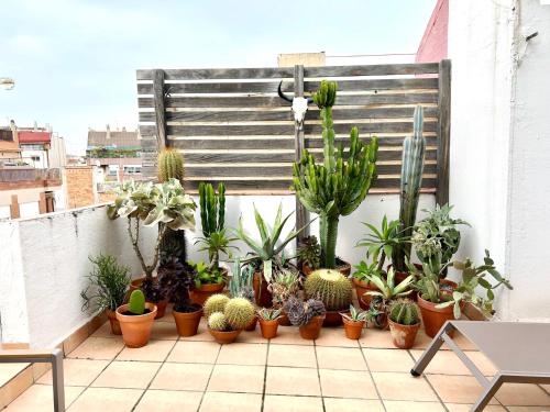 Apartment image 1