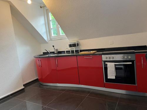 Charming apartment central in Lucerne in Luzern, Schweiz