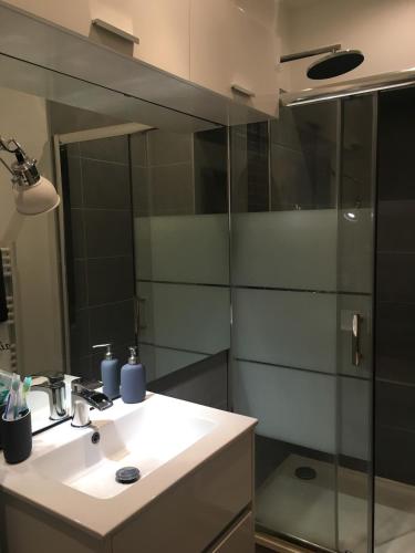 Very central Toulouse apartment, Toulouse (fotografie 3)