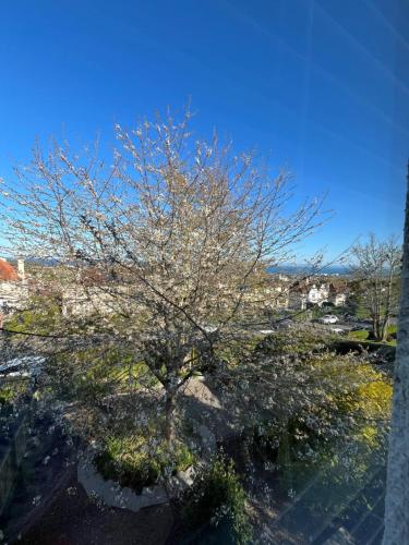 Kilátás, 3 bedroom house in Kirkaldy, Fife in Kirkcaldy Central