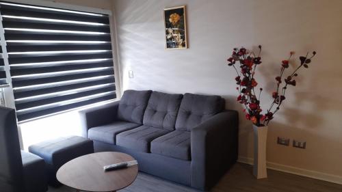 Lagos Temuco