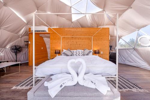 Luxurious Dome for Unforgettable Stays in Burnet, Texas in 伯尼特