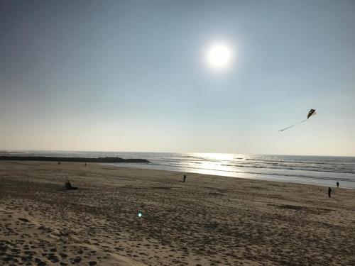 Estacade Lac et Océan Estacade Lac et Océan