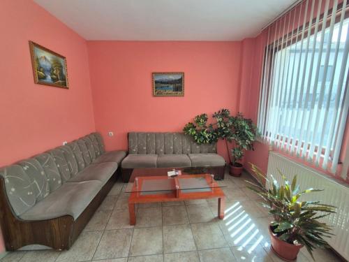 Aseva House Family Hotel - image 12