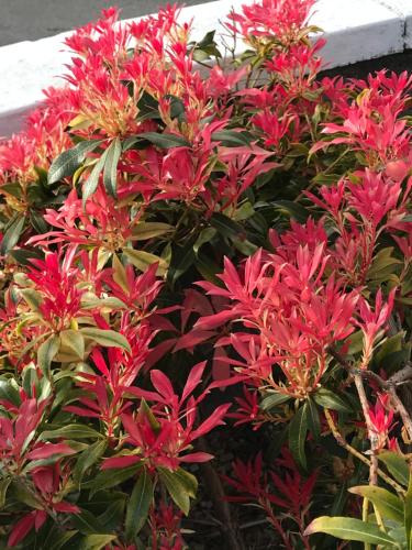 View, Beach-Stroll in Rosslare