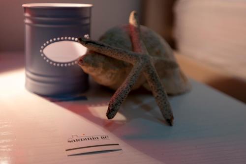 SARDINIA RE - Palm Beach