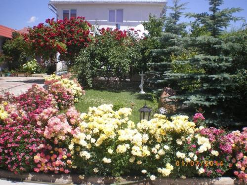 Престиж, Cholpon-Ata (foto 5)