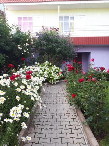 Престиж, Cholpon-Ata (foto 9)