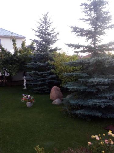 Престиж, Cholpon-Ata (foto 10)