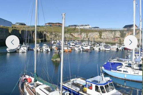 The hawthorns large detached 3 bedroom family home The hawthorns large detached 3 bedroom family home