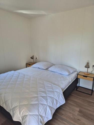 Eldorado, Petten (zdjęcie 10)