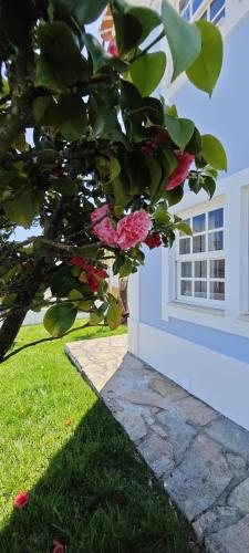 Ericeira -Oceonview Villa with Pool and Whirlpool