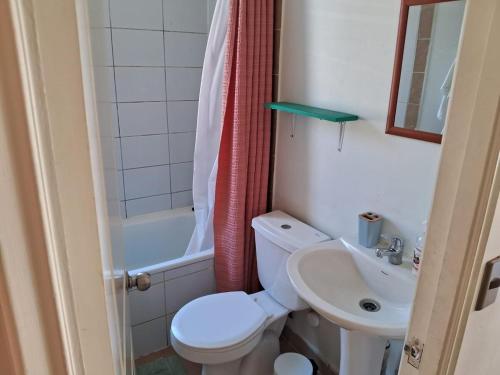 Live the experience, live Puerto Varas