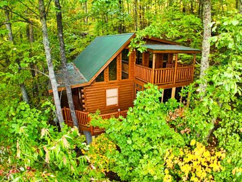Bearway to Heaven, Sevierville