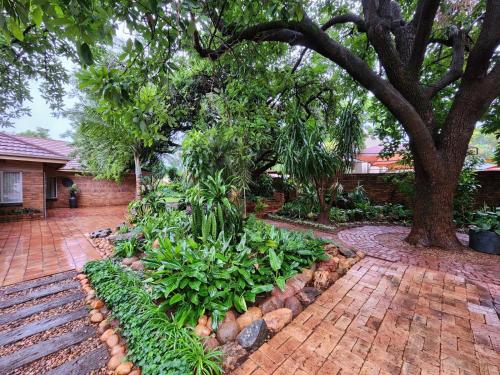 Exterior view of Tree Aloe Guest House