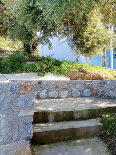 Stefanos Garden2 5