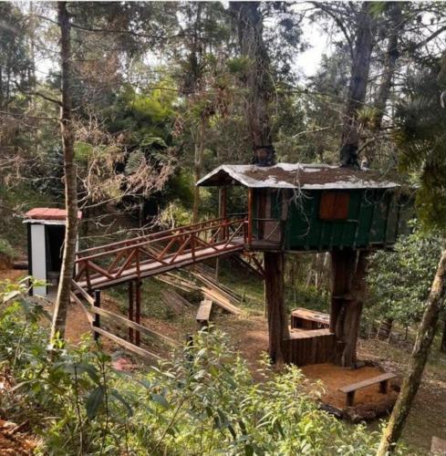Refugio en el Árbol
