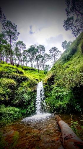 Obližnje atrakcije, THE CHAKRA VALLEY Homestay  in Almora
