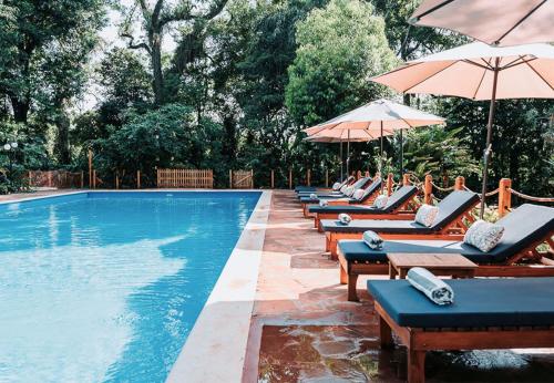 Overo Lodge & Selva - El Dorado