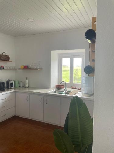 บริการและสิ่งอำนวยความสะดวก, House In The Valley in อัลการ์เวีย