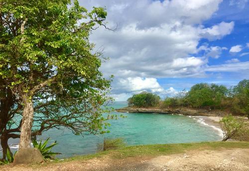 Surrounding environment, Residence Pom'Kanel in Sainte Rose