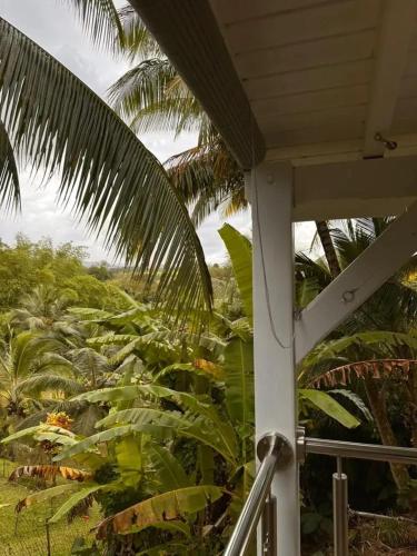 Studio confortable à Petit-Bourg avec terrasse 30 m² (Studio confortable a Petit-Bourg avec terrasse 30 m²) in Petit-Bourg