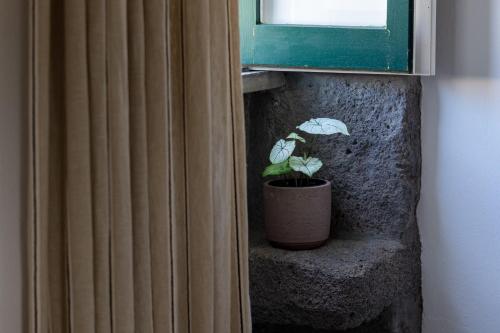 Pico do Refúgio - Casas de Campo - image 5