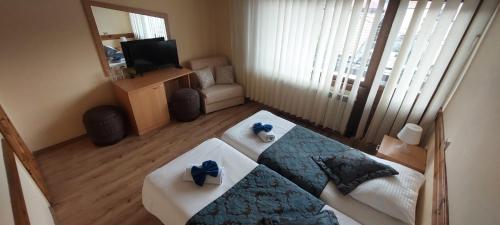 Double or Twin Room with Mountain View room in Guest House Planinski Zdravets