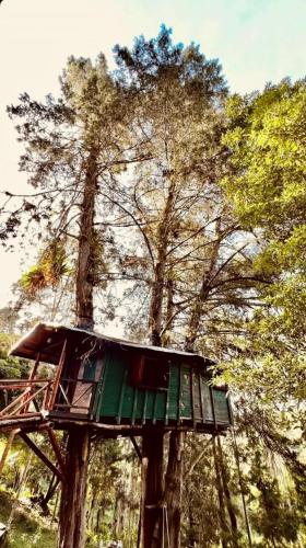 Casa en el Arbol