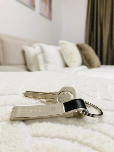 PANTHEON ELYSEE III Elite Apartment Spacious luxury stay with huge pool , modern gym and Complimentary welcome pack, Dubaj (fotografie 3)