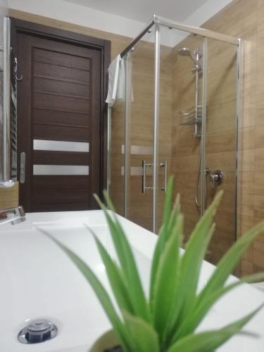 Casa vacanze Amalfitan Coast 5