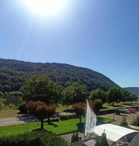 Silvaner in Hatzenport, Deutschland