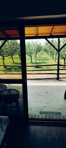 Kilátás, Salaš Farma 47-Miris Dunja (Salas Farma 47-Miris Dunja) in Čenej