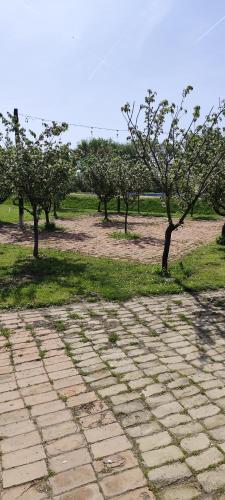 Salaš Farma 47-Miris Dunja - image 6