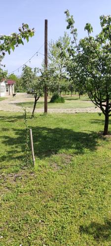 Salaš Farma 47-Miris Dunja - main image