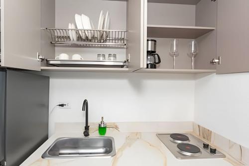 One-Bedroom Apartment image 10