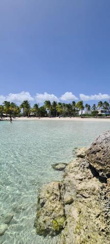 Praia, Appartement Ti Z'abouyou 700m de la plage in Sainte Anne