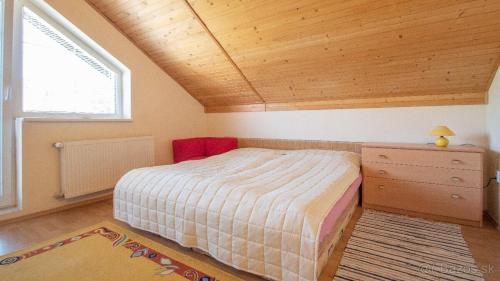 Villa GARFIELD NITRIANSKE RUDNO in Liestany