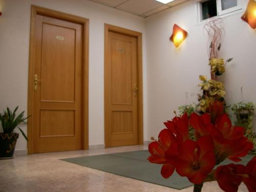 Hostal Apolo Trece - image 13