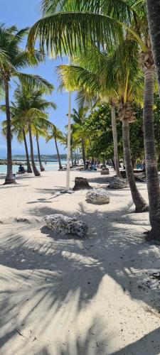 Praia, Appartement Ti Z'abouyou 700m de la plage in Sainte Anne