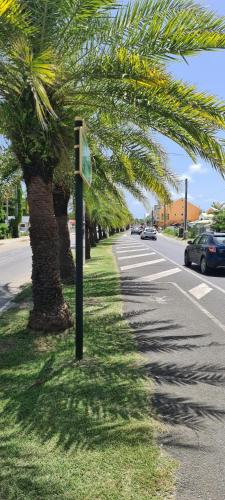 Praia, Appartement Ti Z'abouyou 700m de la plage in Sainte Anne