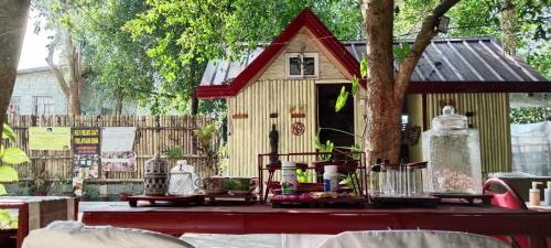 JUNGLE AERIAL ARTS NAMASTE LA UNION Chi fan kubo 2pax - Santiago