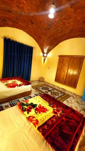 شمس تونس, Tunis (foto 9)