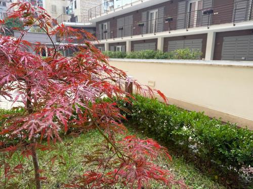 Borgo San Lorenzo Roma, Rzym (zdjęcie 2)