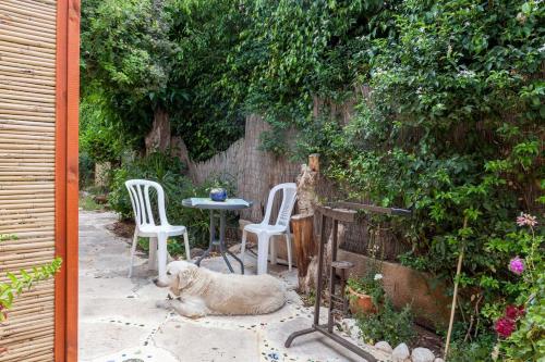 one room studio apartment and garden in 마즈크레트 베티아