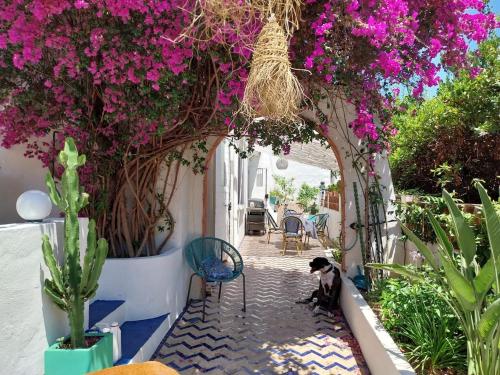 Villa Bleue au Roucas Blanc - Piscine & Mer - du samedi au samedi, Marsiglia (foto 8)